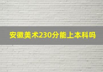 安徽美术230分能上本科吗