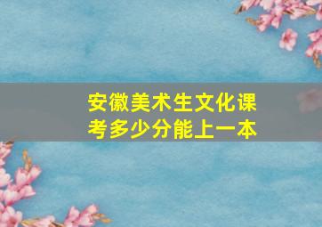 安徽美术生文化课考多少分能上一本