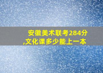 安徽美术联考284分,文化课多少能上一本