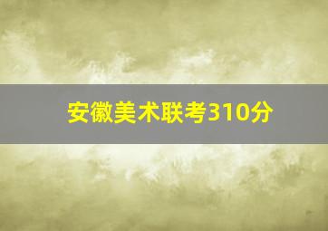 安徽美术联考310分