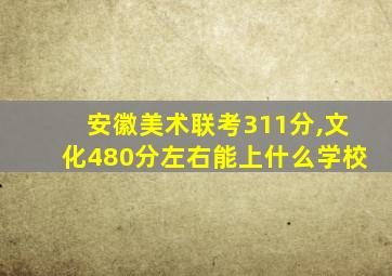 安徽美术联考311分,文化480分左右能上什么学校