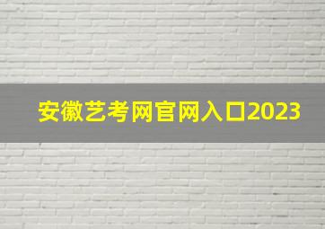 安徽艺考网官网入口2023