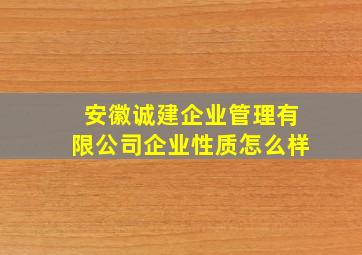 安徽诚建企业管理有限公司企业性质怎么样