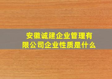 安徽诚建企业管理有限公司企业性质是什么