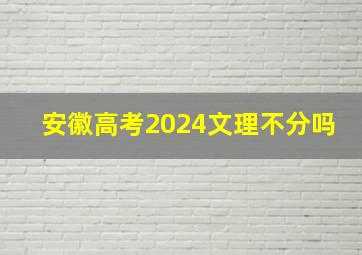 安徽高考2024文理不分吗