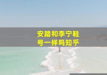 安踏和李宁鞋号一样吗知乎