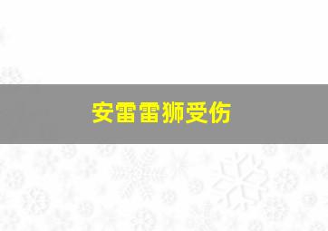 安雷雷狮受伤