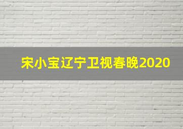 宋小宝辽宁卫视春晚2020