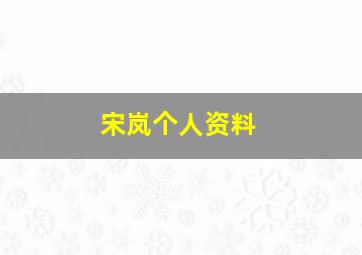 宋岚个人资料