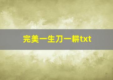 完美一生刀一耕txt