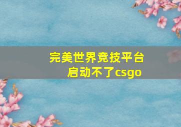 完美世界竞技平台启动不了csgo