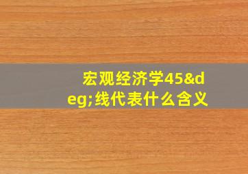 宏观经济学45°线代表什么含义