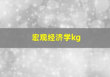 宏观经济学kg