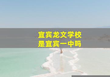 宜宾龙文学校是宜宾一中吗