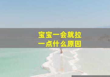 宝宝一会就拉一点什么原因