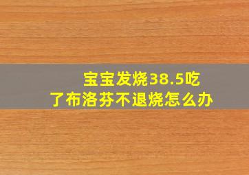 宝宝发烧38.5吃了布洛芬不退烧怎么办