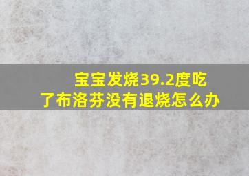 宝宝发烧39.2度吃了布洛芬没有退烧怎么办