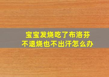 宝宝发烧吃了布洛芬不退烧也不出汗怎么办