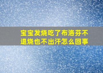 宝宝发烧吃了布洛芬不退烧也不出汗怎么回事