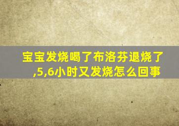 宝宝发烧喝了布洛芬退烧了,5,6小时又发烧怎么回事