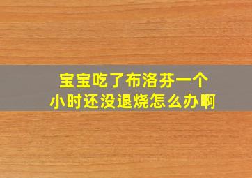 宝宝吃了布洛芬一个小时还没退烧怎么办啊