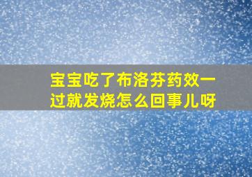 宝宝吃了布洛芬药效一过就发烧怎么回事儿呀