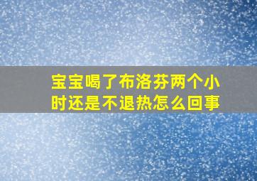 宝宝喝了布洛芬两个小时还是不退热怎么回事