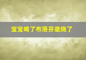 宝宝喝了布洛芬退烧了