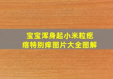 宝宝浑身起小米粒疙瘩特别痒图片大全图解