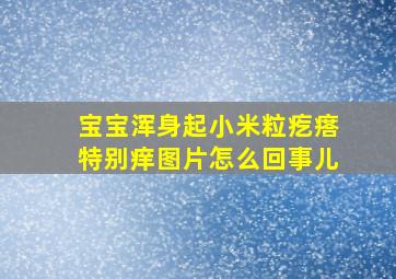 宝宝浑身起小米粒疙瘩特别痒图片怎么回事儿