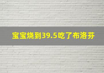 宝宝烧到39.5吃了布洛芬