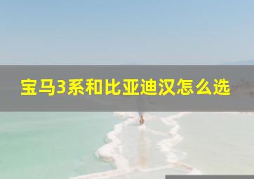 宝马3系和比亚迪汉怎么选