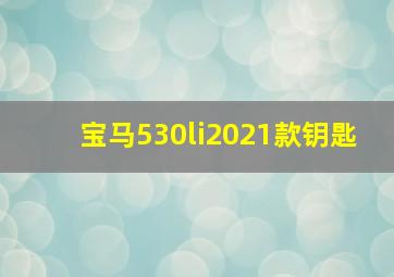 宝马530li2021款钥匙