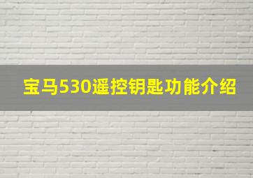 宝马530遥控钥匙功能介绍