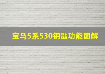 宝马5系530钥匙功能图解