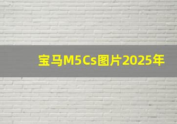 宝马M5Cs图片2025年