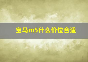 宝马m5什么价位合适