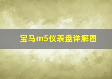 宝马m5仪表盘详解图