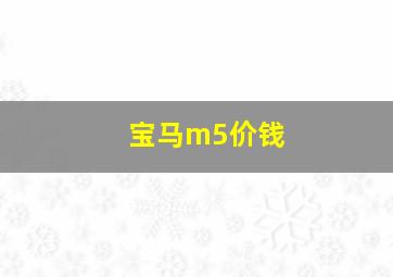 宝马m5价钱