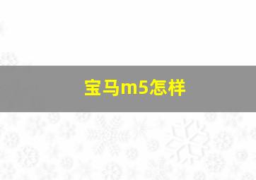 宝马m5怎样