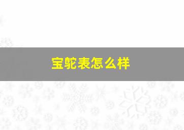 宝鸵表怎么样