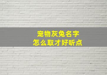 宠物灰兔名字怎么取才好听点