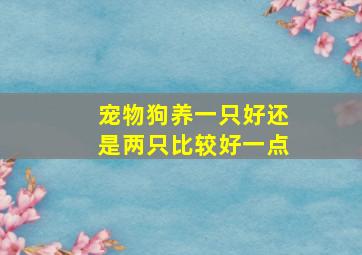 宠物狗养一只好还是两只比较好一点