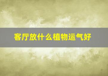 客厅放什么植物运气好