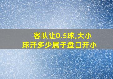 客队让0.5球,大小球开多少属于盘口开小