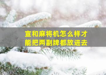 宣和麻将机怎么样才能把两副牌都放进去