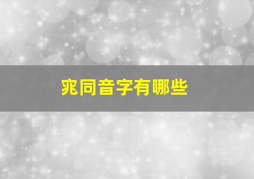 宨同音字有哪些