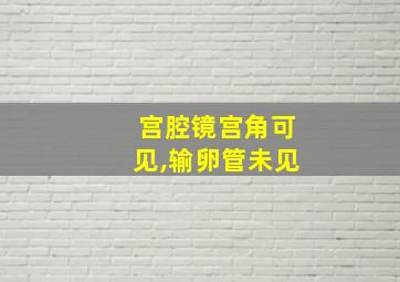 宫腔镜宫角可见,输卵管未见