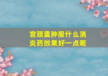 宫颈囊肿服什么消炎药效果好一点呢