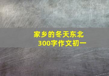 家乡的冬天东北300字作文初一